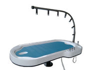 Hydrotherapy Vichy Shower 7 heads Seven Water Jets Water Massage Bed