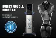 7 Tesla High-Intensity Focused Electro-Magnetic Hifem Em Sculpt 4 Handles Non-Invasive Buttock Lifting Tommy Fat Removal