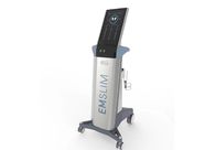 EMS EM Sculptingure Electromagnetic Slimming Body Machine Fat Burning Muscle Building 100hz Air Cooling System