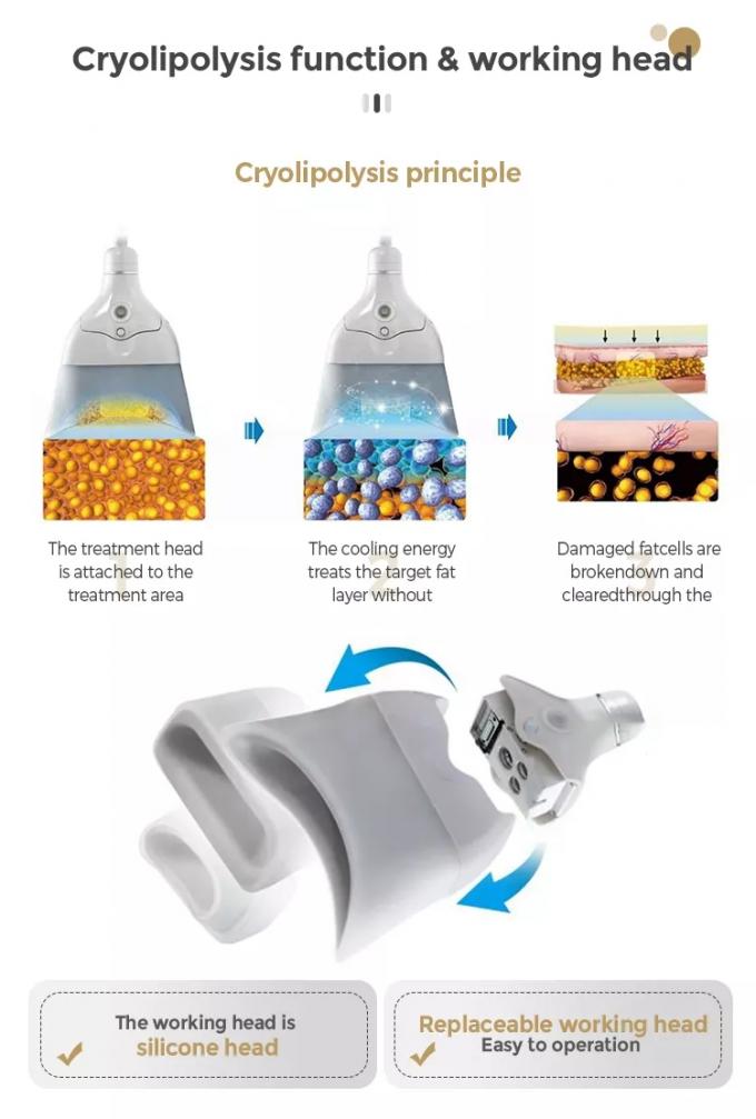 360 Vacuum cryolipolysis system Professional to Get Rid Of Fat Cells on Stomach, Belly,Thigns and Double Chin