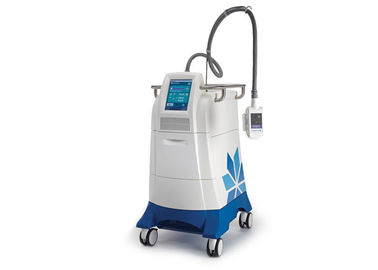 China Cryolipolysis Cool Sculpting Body Sculpting Machine Fat Removal Machine with 4 Cryo Probes Cool Sculpture Fat Reduction supplier
