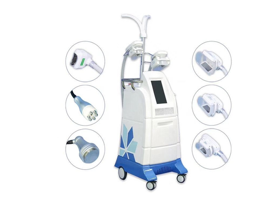 Cryolipolysis Body Slimming Machine Cool Sculpting Body Fat Freezing With 4 Cryo Probes with CE