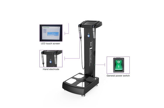 GS6.5C+ Body Analyzer: Multi-Frequency Bioelectrical Analysis Bmi Body Mass Index Analyzer