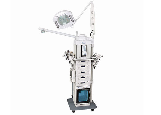 19 In 1 Multifunctional Salon Beauty Machine 110V/220V Avalible