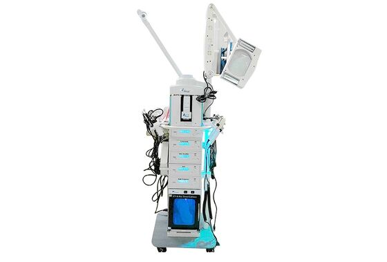 19 In 1 Multifunctional Salon Beauty Machine 110V/220V Avalible