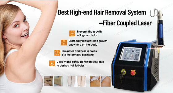 2018  Painless Laser Hair Removal / 808 Fiber Coupled Diode Laser Depilation / Laser Hair Removal