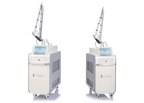 PicoWay Dual Wavelength Picosecond Laser Recalcitrant Tattoos Multi-colored Tattoos Removal
