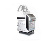 11 In 1 Hydrafacial Machine With Oxygen Jet  LED Mask Big Vacuum Power