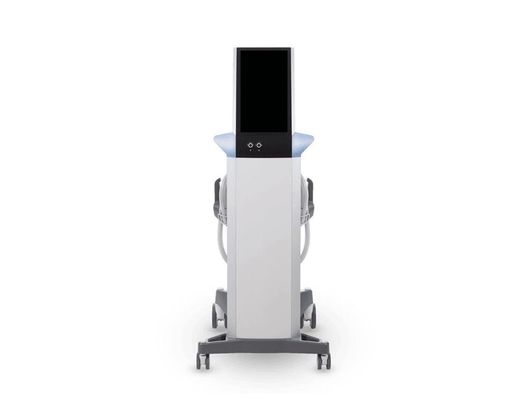 New Technology EMShape EM Body Sculpt FEM Technology HIEMT EMSlim Muscle Building Fat Reduction Machine For Sale