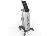 BTL EMSCULPT SYSTEM Muscle Building And Body Contouring Beauty Machine