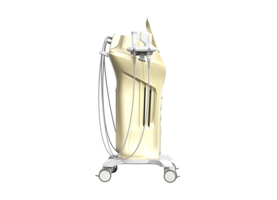 Advanced HIFU Skin Rejuvenation Machine With 4 Treatment Handles 10 Cartridges For V-Line Face Shaping Neck Lifting