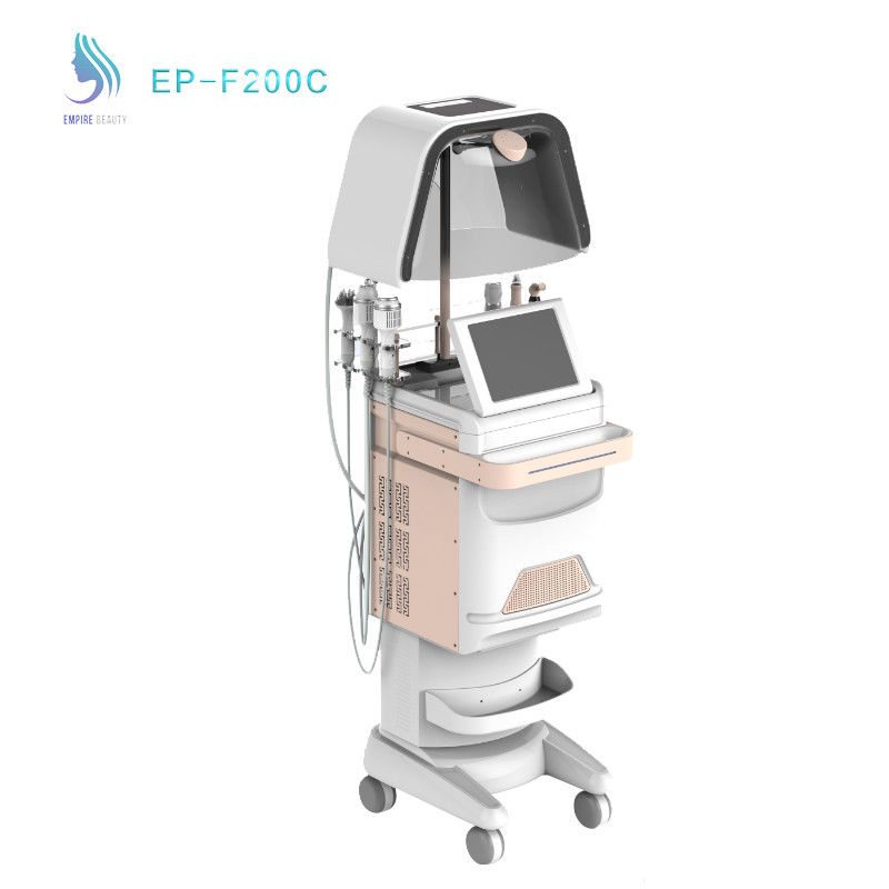 2018 Latest Oxygen Jet Peel Facial Machine With Oxygen Mask 10 In 1 Beauty Equipment 110V/220V