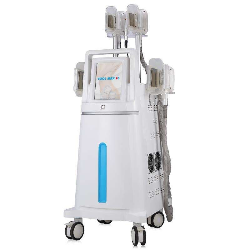 2019 New Fat Freezing Cryolipolysis Machine Slimming Fat Weight Loss Equipment Portable or Vertical Model